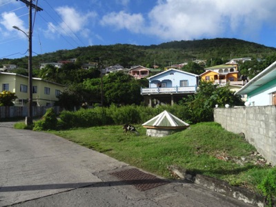 Caribbean lawn mower Caribbean lawn mower